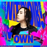 Own - 나무위키 Own