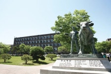 건국대 신기숙사 | 건국대학교/글로컬캠퍼스/시설 - 나무위키 건국대학교/글로컬캠퍼스/시설