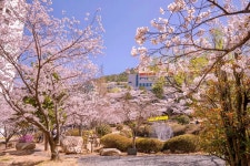 동의대학교/학내문화 - 나무위키 동의대학교/학내문화