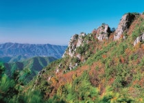 서대산 - 나무위키 서대산
