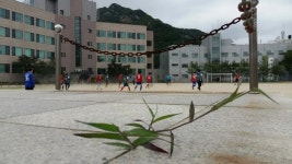 서울대학교/관악캠퍼스/시설 목록 - 나무위키 서울대학교/관악캠퍼스/시설 목록