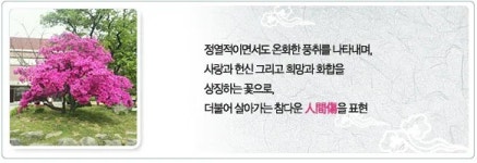 배영중고등학교매점자판기 | 배영고등학교 - 나무위키 배영고등학교