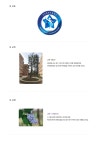 인천별빛초등학교 - 나무위키 인천별빛초등학교