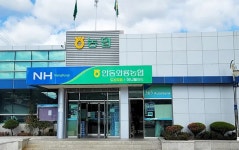 안동와룡농협 하나로마트 도산점 - 나무위키 안동와룡농협 하나로마트 도산점