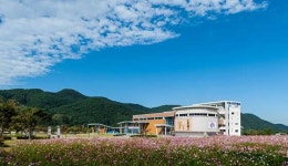 정읍시립박물관 - 나무위키 정읍시립박물관