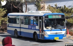 상주시 시내버스/500번대 - 나무위키 상주시 시내버스/500번대