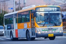 부근리 246, 247-1 | 울산 버스 246 - 나무위키 울산 버스 246