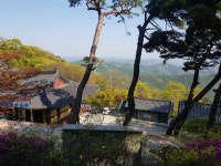 도리도리제육도사 | 도리사 - 나무위키 도리사