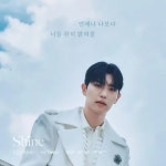 Shine(리베란테) - 나무위키 Shine(리베란테)
