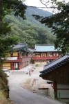 도리도리제육도사 | 도리사 - 나무위키