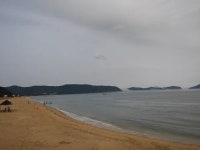신지도 - 나무위키 신지도