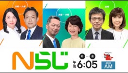 N휙파인패스_3 | N라지 - 나무위키 N라지