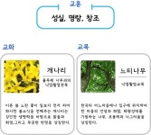서울매그넷고등학교(과정평가형) | 서울매그넷고등학교 - 나무위키 서울매그넷고등학교