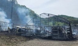 인천 귤현동 비닐하우스 화재 사고 - 나무위키 인천 귤현동 비닐하우스 화재 사고
