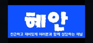 혜안 - 나무위키 혜안