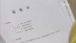 장도현 - 나무위키 장도현