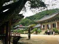 전등사 - 나무위키 전등사