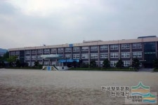 서룡초등학교 - 나무위키 서룡초등학교