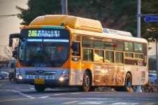 부근리 246, 247-1 | 울산 버스 246 - 나무위키 울산 버스 246