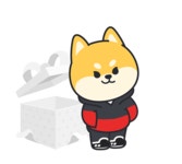 아이디팜_페이코_4 | 페이코 - 나무위키 페이코