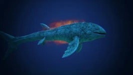 리드시크티스(ARK: Survival Evolved) - 나무위키 리드시크티스(ARK: Survival Evolved)