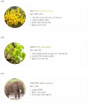 대전대신중학교 - 나무위키 대전대신중학교