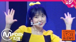 안유진/음악 방송 직캠/IZ*ONE - 나무위키 안유진/음악 방송 직캠/IZ*ONE