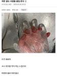 군필들도 잘 모르는 이상한 걸 산에서 주운 디씨인