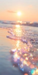 코쿠이 바이 스위트모먼트 | Fragile Moments, 표기식 - 까이에 드 서울