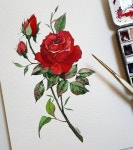 원효주보태니컬아트 | jk보태니컬아트 (jane) on Instagram: "Artworks of jkbotanicalart members- 최♡♡ 회원님의 작품입니다. - 작품 의뢰, 협업, 수강...