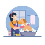 어반트랜트Care | 수의사 진료 일러스트 ai 다운로드 download Veterinary care vector - 어반브러시