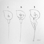 초보자를 위한 장미봉우리 스케치 단계별 안내 | Simple rose drawing tutorial, How draw rose, Rose sketch step by step