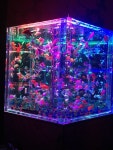 Luxury fashion & independent designers | SSENSE Neon Sugar에 있는 핀