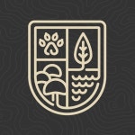 수경수제만두