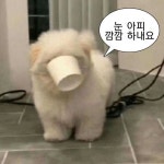 Pin page 밈에 있는 SJUIN님의 핀 | 밈, 고전 문구, 웃긴 밈