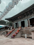 매니스 대구(MANIS Daegu) | 대구. Korea Aesthetic. Daegu. Korea