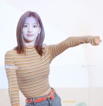 멍뭉이에 있는 핀