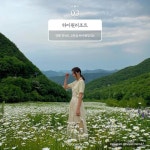 두피디아 여행기-여름에 가면 더 좋은 영월·정선 여행 스팟 4 여름에 가면 더 좋은 영월·정선 여행 스팟 4 | 두피디아 여행기 | 여행, 가면