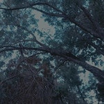 Pin de RyuBin 류빈 en ·°Mis fotos°· | Foto
