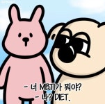 다이어트짤,다이어트밈,웃긴짤,웃긴밈,귀여운짤,귀여운그림