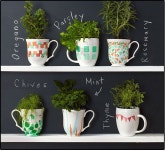 Herbs에 관한 11개의 최상의 Pinterest 이미지 | 허브 정원, 허브 및 실내 정원 Herbs