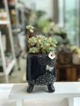 Pottery에 있는 Lisa Hedger님의 핀 | 화분 디자인, 다육 식물, 도자기 아이디어