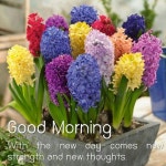 F1문구센터에프원 | 에프원카지노 엠카지노 <a href="… | Flower garden design, Bulbous plants, Bulb flowers
