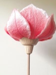 Pin by ㅤㅤ ㅤㅤ on baúl 口,✿ in 2024 | Flower lamp, Paper flower decor, Paper flowers Pin by ㅤㅤ ㅤㅤ on baúl...