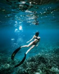under water.에 있는 tiver21님의 핀 - 2020 | 수중 사진, 다이빙, 사진