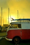 비틀펫&비틀푸드 | VW에 관한 427개의 최상의 Pinterest 이미지 | 자동차, 폭스바겐 비틀 및 Volkswagen bus VW