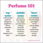 I always smell yummy! www.StephanieBlue.com #insomniaessentialoils | 에센셜 오일, 아로마테라피, 향수