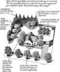 Windbreak에 관한 7개의 최상의 Pinterest 이미지 | 퍼머컬쳐, 조경 및 뒤뜰 아이디어 Windbreak