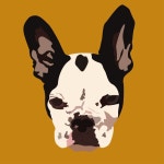 LEE'sArt&Design | Kira Lee Design에 있는 Kira Lee님의 핀