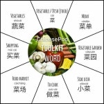 차오차오 앤 니하오마 | 「니하오」おしゃれまとめの人気アイデア|Pinterest|경수 정 | 教育, 中国語, 中文